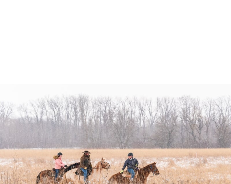 4-Mile Horseback Ride Near Noblesville