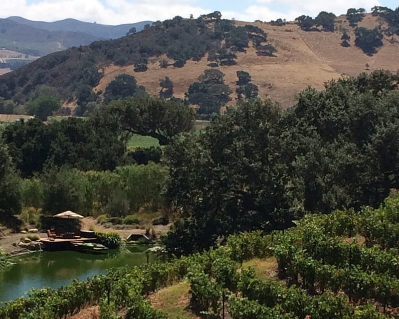 Private Boutique Winery Tour in Santa Ynez Valley