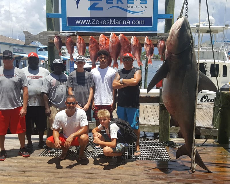 Trolling Fishing Charter in Orange Beach