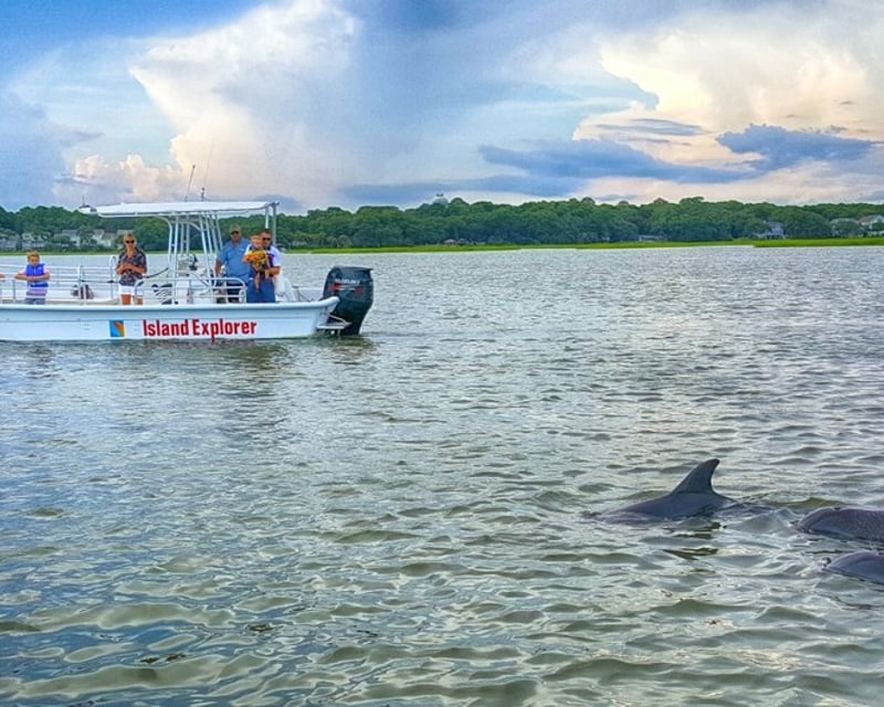 Private Dolphin Tour on Hilton Head Island