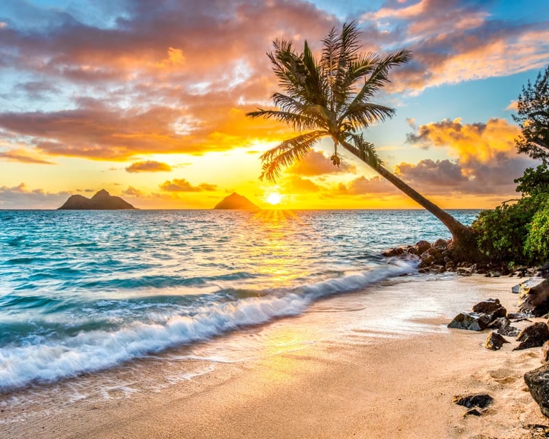 6-Hour Wellness Adventure Tour From Waikiki
