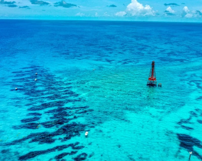 Private Sombrero Reef Snorkel Cruise in Marathon