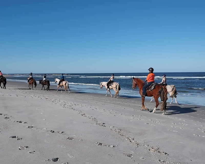 Tennessee Walking Horse Beach Ride on Amelia Island