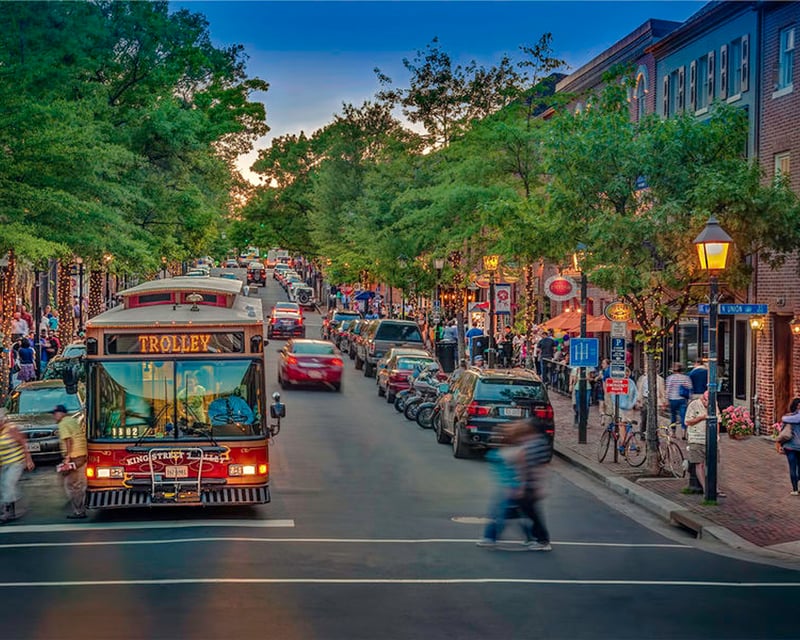 Private 5-Hour Mount Vernon & Old Town Alexandria Tour