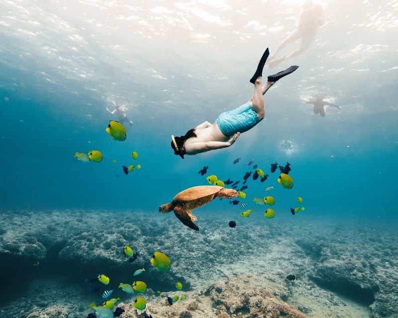 Waikiki Turtle Canyon Snorkeling Cruise