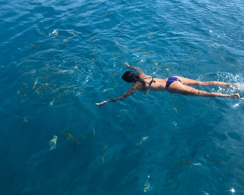 Key West Snorkel & Sandbar Charter