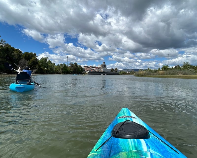 2-Hour Napa River Kayak Rental