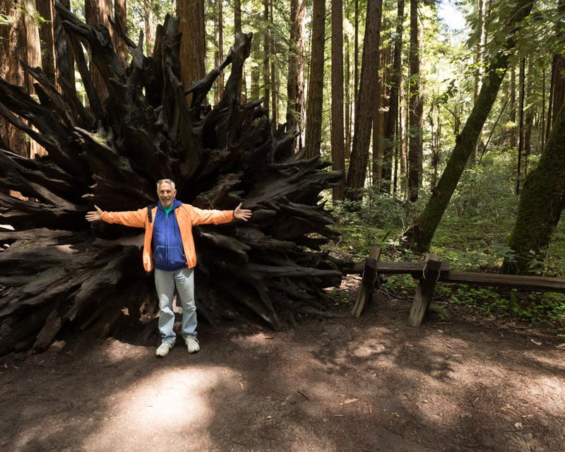 Redwoods & Wineries Guided Day Trip From San Francisco