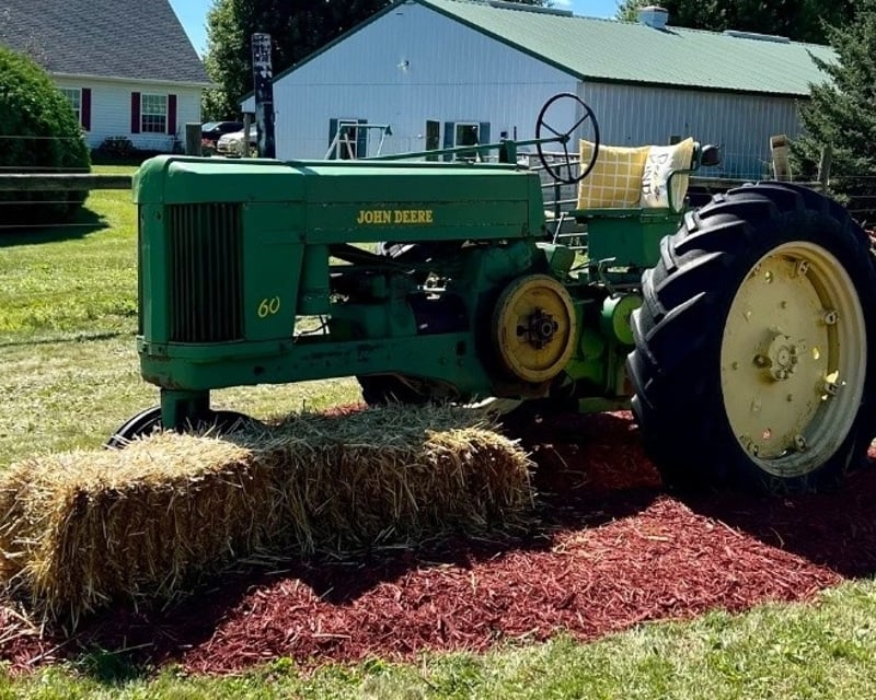 Apple Picking, Hayride & Orchard Activities in Lakeville