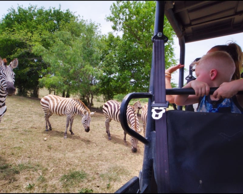 Private Safari Tour in McGregor