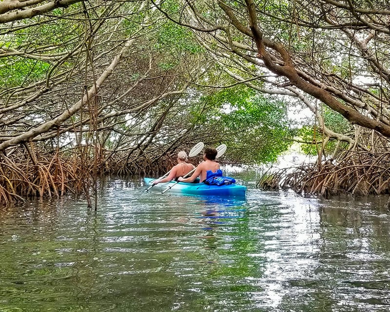 Guided 3-Hour Shell Key Preserve Kayak Tour