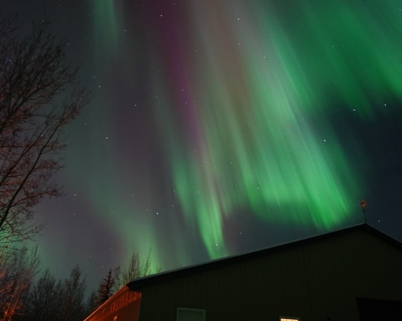 Aurora Viewing Tour in Fairbanks