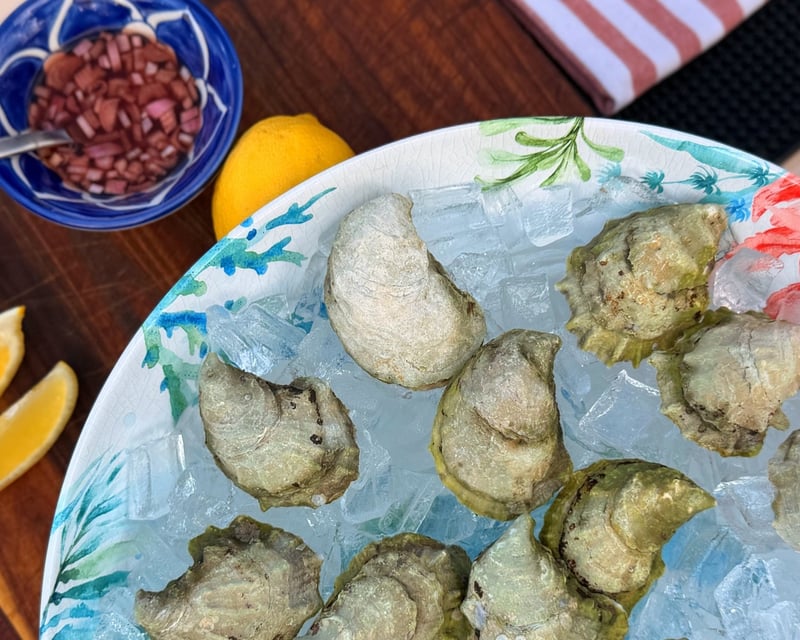 Oyster Farm & Prohibition Guided Tour in Bremen
