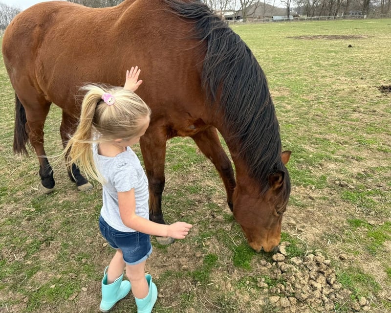 Guided Beginner Pasture Horseback Ride in Noblesville