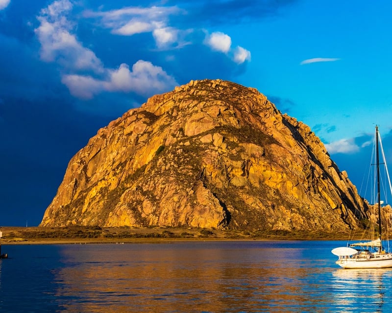 Central Coast Day Trip with Morro Bay Kayaking