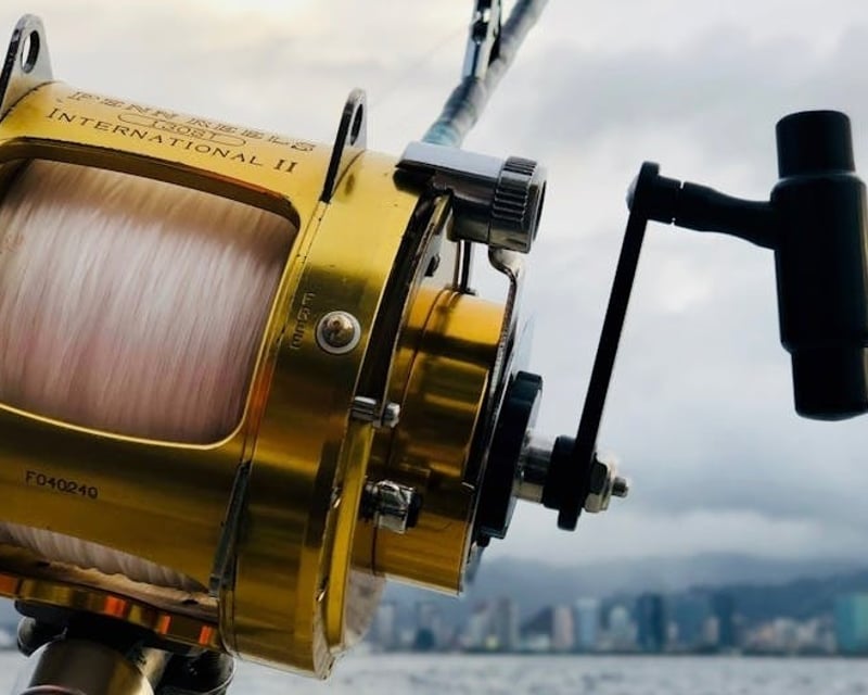 6-Hour Backwater Fishing Charter From Marco Island