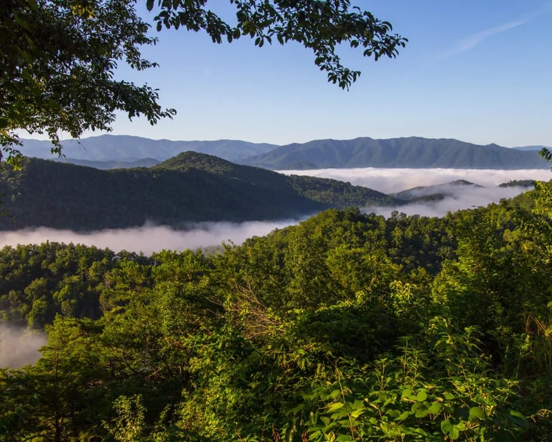Guided 3-Hour Jeep Tour of Foothills Parkway