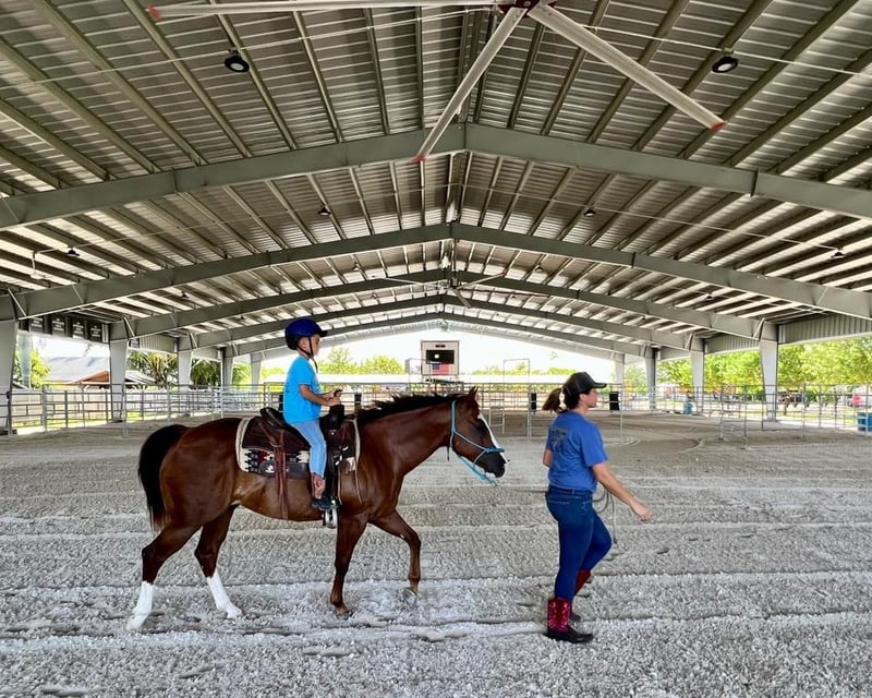 Private Horseback Riding Lesson in Miami