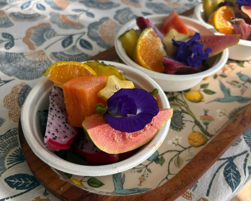 Farm-to-Table Hydroponic Tour from Carolina, Puerto Rico