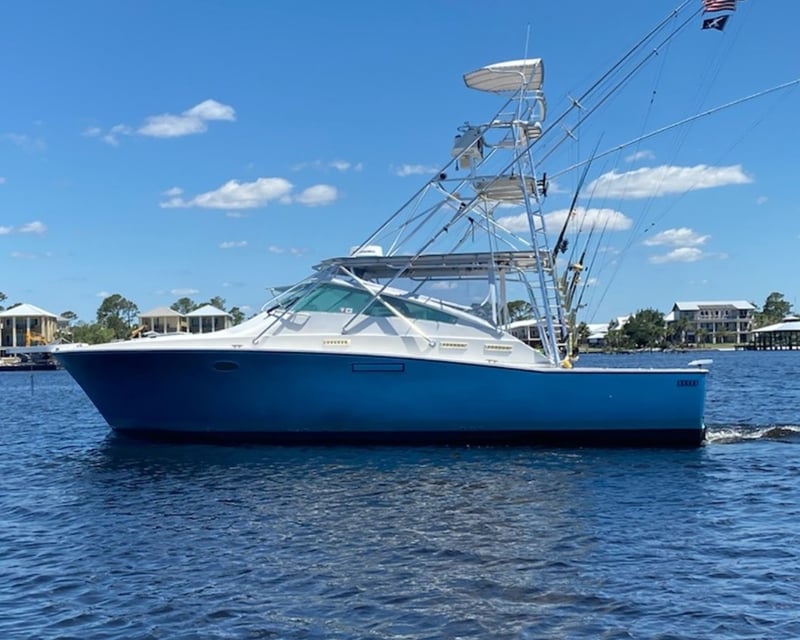 Private Deep Sea Fishing Charter in Orange Beach, 41' Bertram