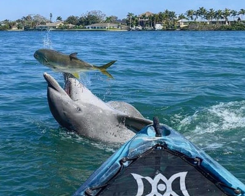 Nokomis Self-Guided Single Kayak Rental