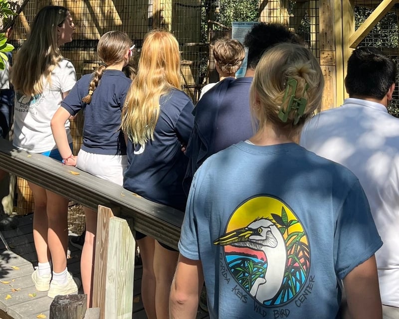 Guided Bird Sanctuary Tour in Tavernier