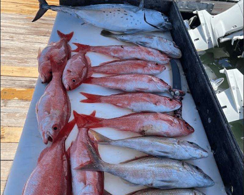 Private Half-Day Reef & Wreck Fishing Charter in Islamorada