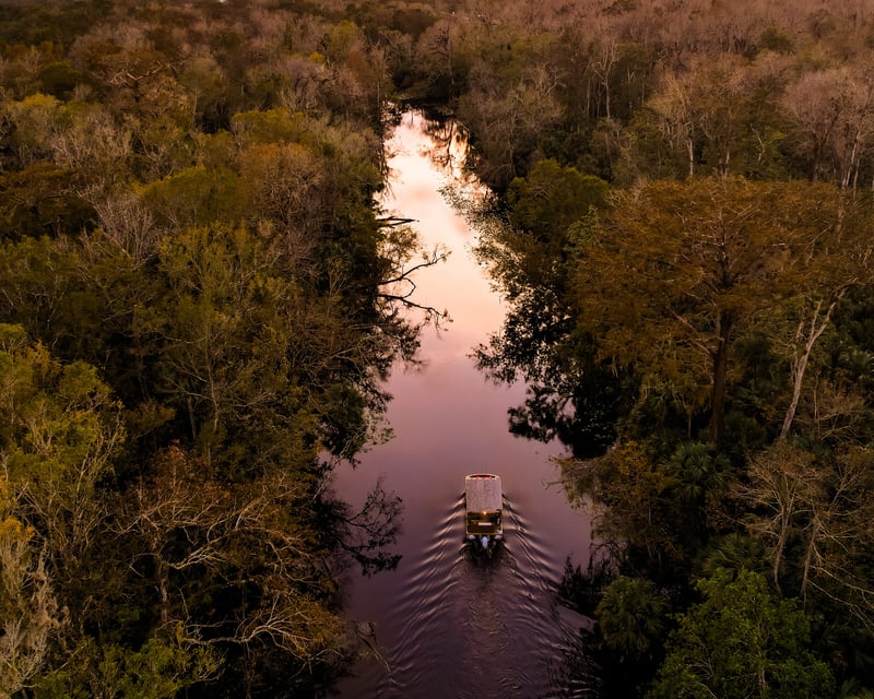 Wekiva River Sunset Boat Tour from Wekiva Island