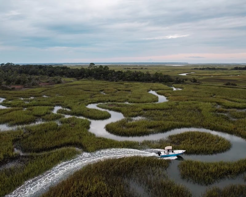 Guided Dolphin Eco Tour of Little Tybee Island