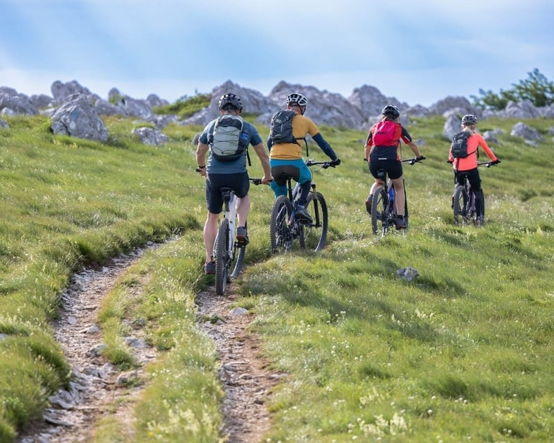 Ride a Guided E-Bike Tour in Hatcher Pass