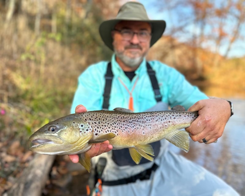 Full-Day Private Waters Fly Fishing in Rosman