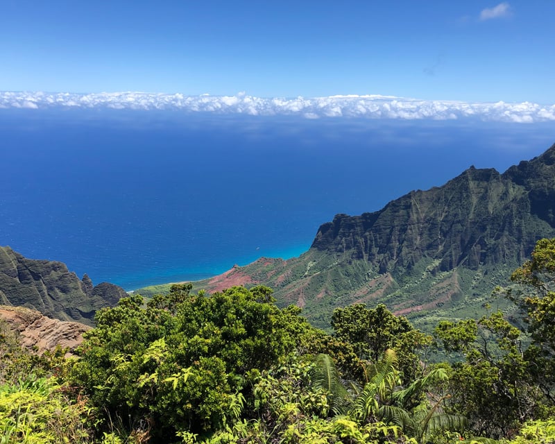 Waimea Canyon & South Shore Private Tour