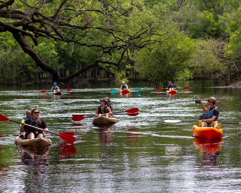 Guided Island Kayak Tour in Longs