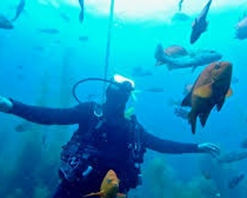 Catalina Island Scuba Diving Charter from Huntington Beach