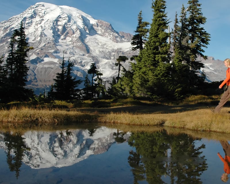 Mt. Rainier: Glaciers, Waterfalls & Wild Meadows