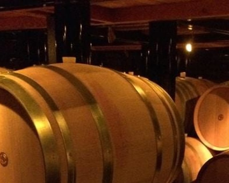 Dundee Hills 8-Hour Wine Tasting Tour