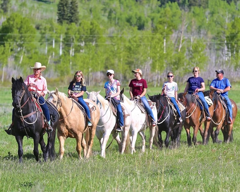 Ride a 2-Hour Horseback Loop in Jackson Hole