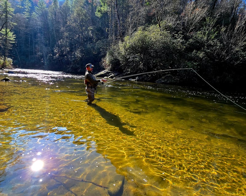 Half-Day Trout Fly Fishing Trip from Salem, SC