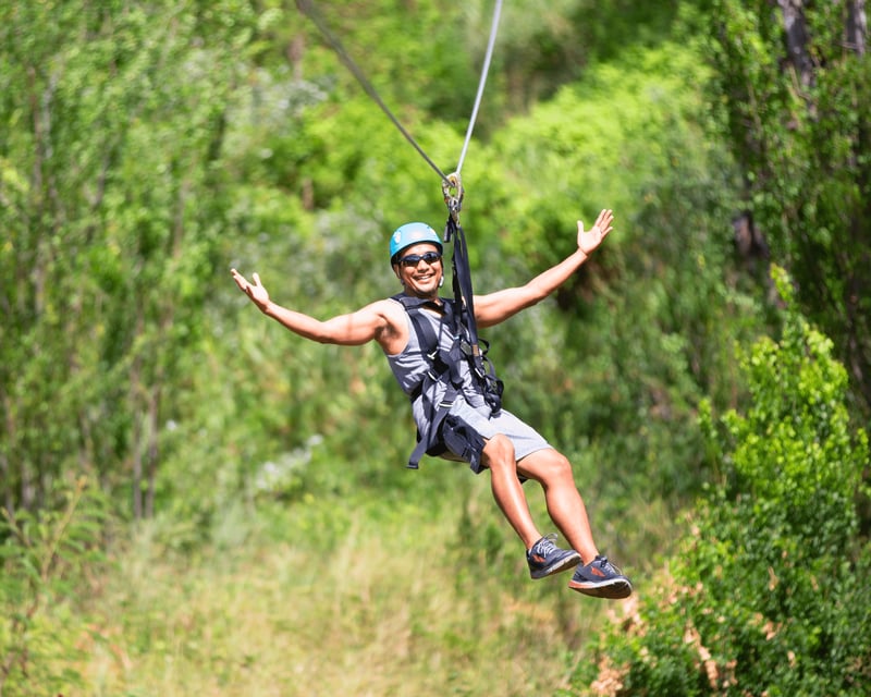 Zipline & Dolphin Watching Snorkel Cruise in West Oahu
