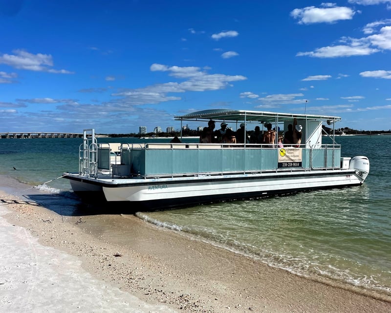 Sunset Dolphin and Shelling Cruise in Fort Myers Beach