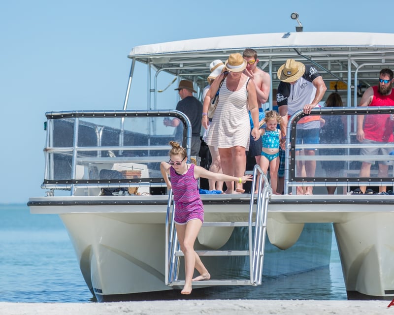 Dolphin Tour to Sand Dollar Island From St. Pete Beach