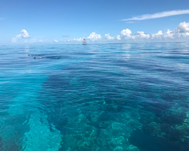 3.5-Hour Key Largo Snorkel & Scuba Charter