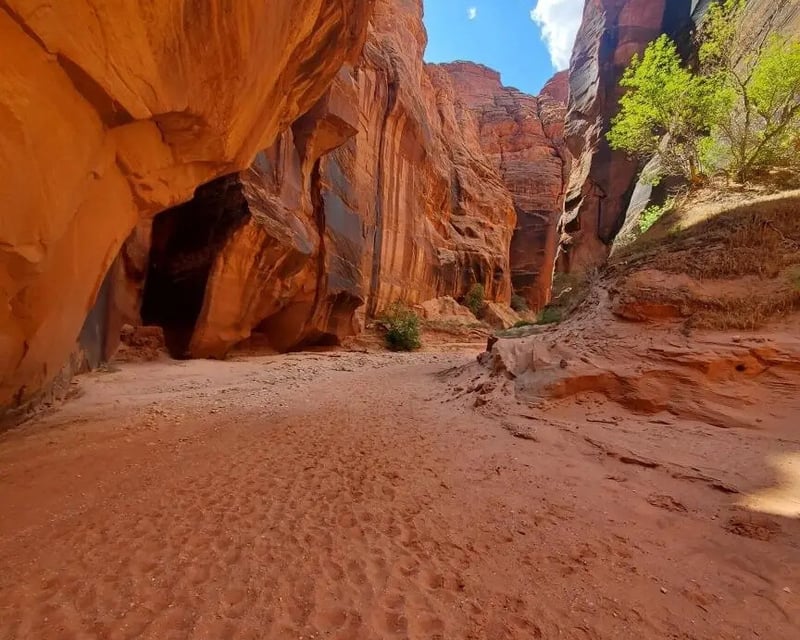 Buckskin Gulch & Wire Pass Slot Canyon Hike from Kanab