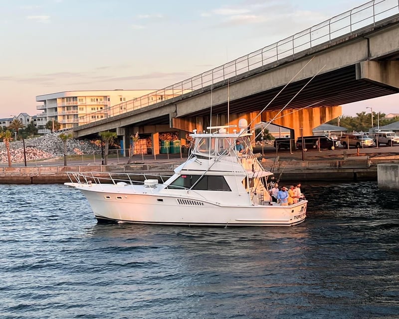 Orange Beach Bottom Fishing Charter