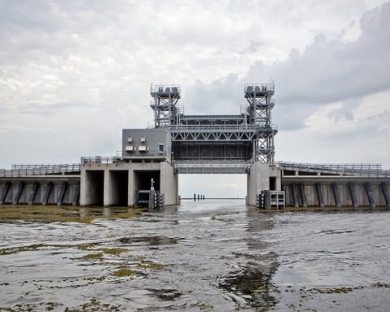 Guided Coastal Restoration Boat Tour in Chalmette