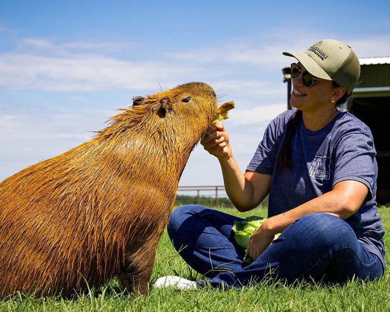 Guided Animal Encounter Tour in Pilot Point