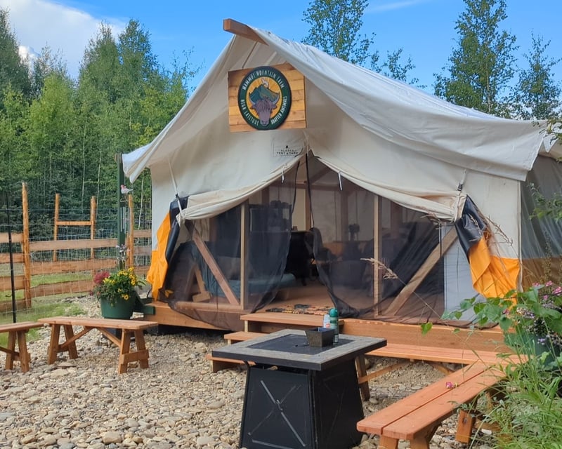 Evening Yak Farm Tour & Art Near Fairbanks