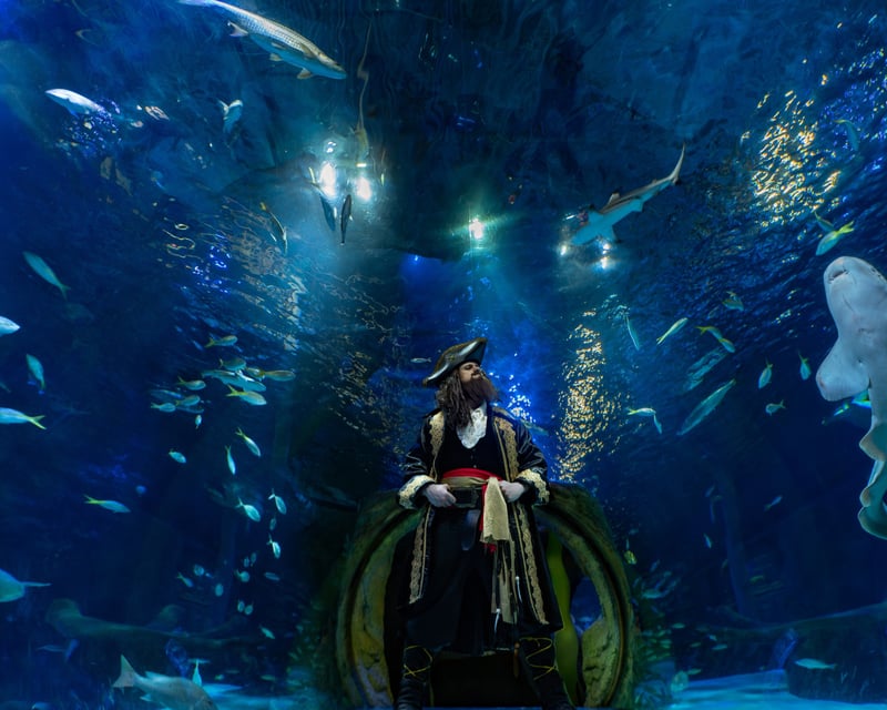 Sea Life Orlando Aquarium Ticket with 360° Ocean Tunnel