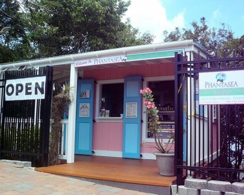 St. Thomas Tropical Botanical Garden Tour