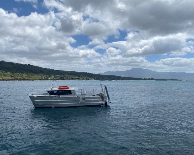 Sunset Boat Tour in Haleiwa